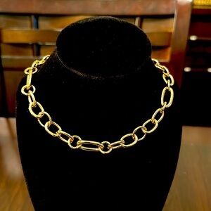 Gold Link Necklace (Short and Thick) NWT